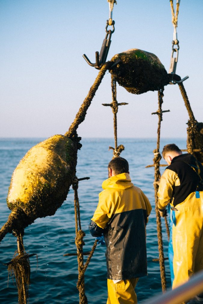 La Cancalaise moules de cordes YannickSchutz_Web_41